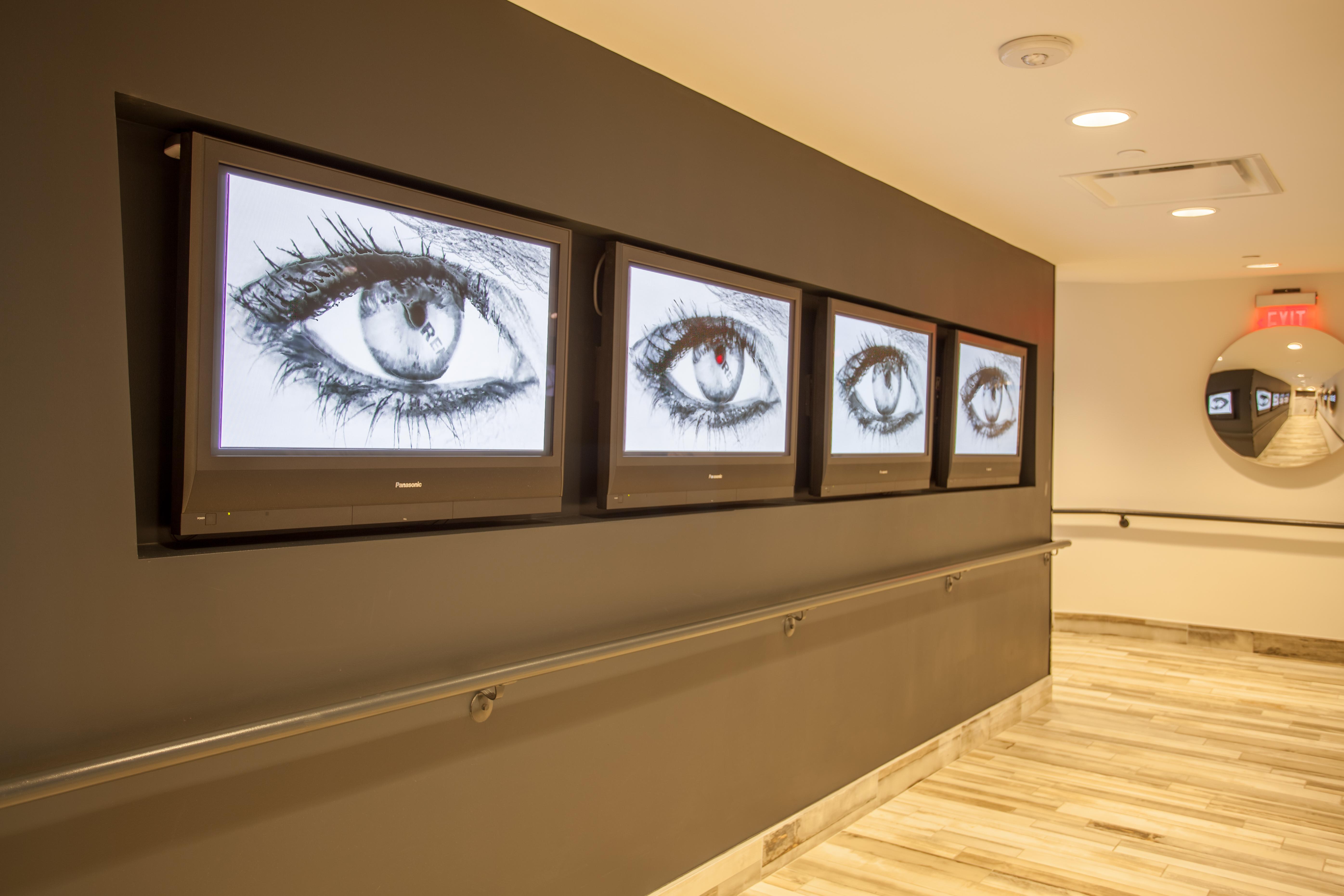 Lorenzo Dallas, Tapestry Collection By Hilton Hotel