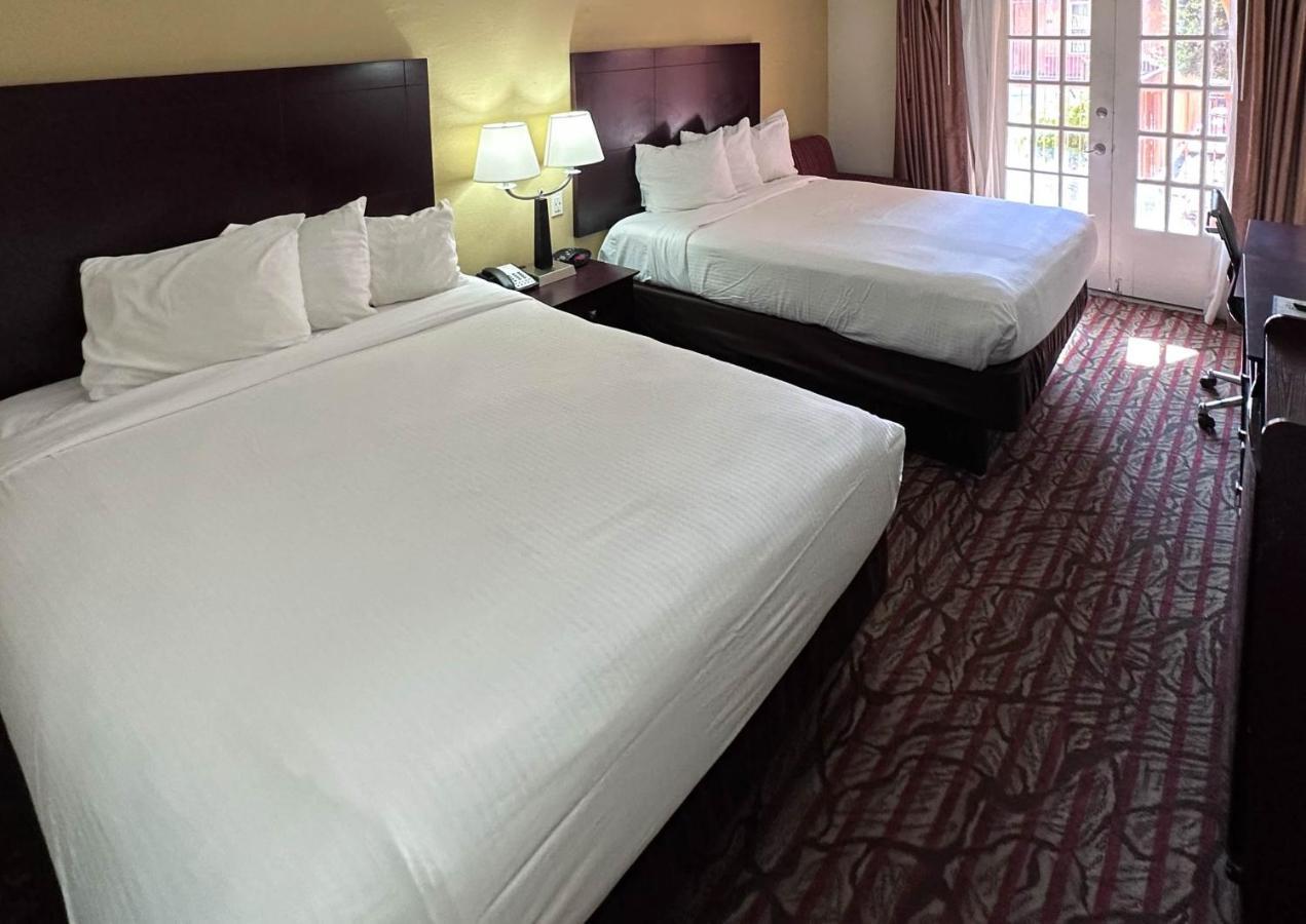Tx Downtown Hotel