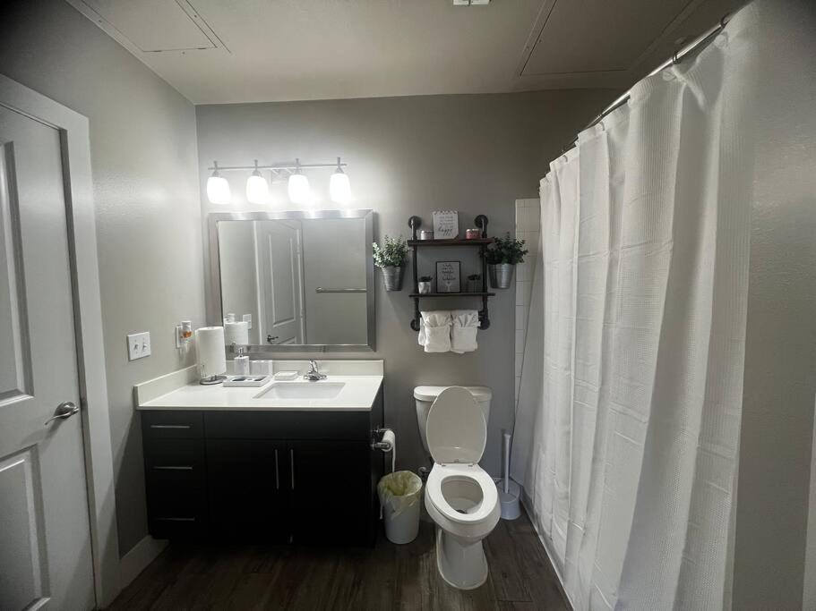 2 Bedroom 2 Full Bth In The Heart Of Dallas! Great Location! Dallas