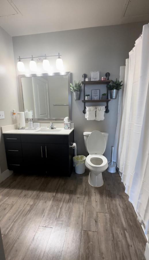 2 Bedroom 2 Full Bth In The Heart Of Dallas! Great Location! Apartment *