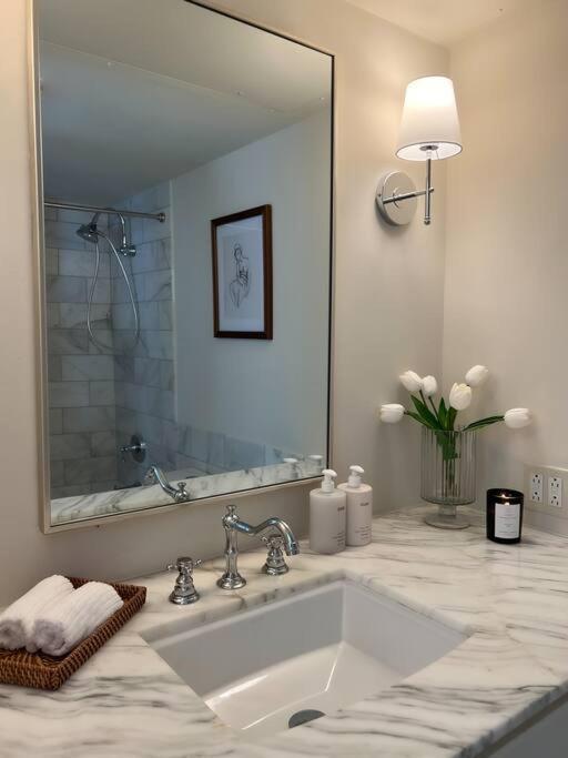 Apartment Mr. Nomad: Artistic Abode In Uptown Dallas