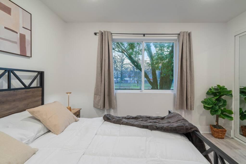 Apartment Downtown Modern Cozy Dallas