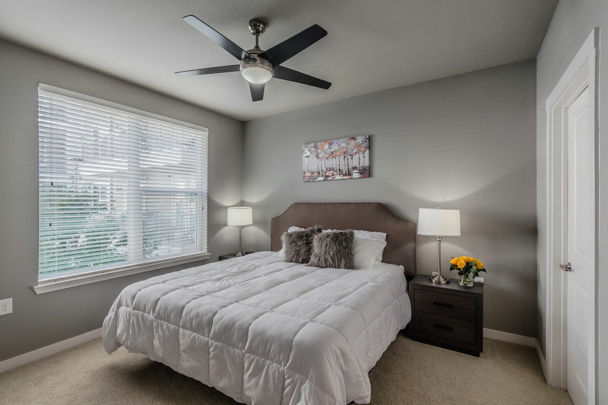 2br Premium Apartment Dallas